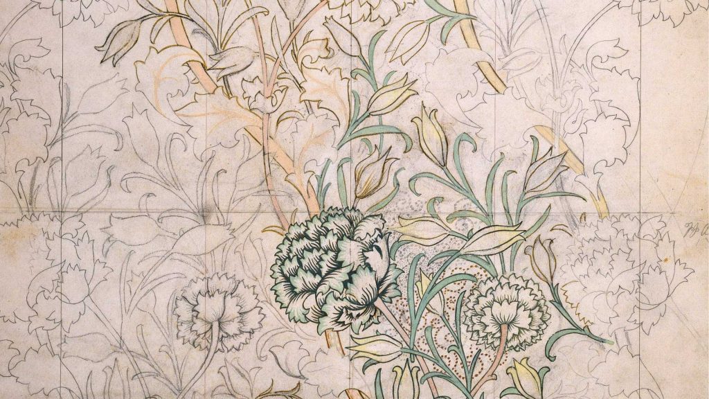 Botanical drawing with some color.