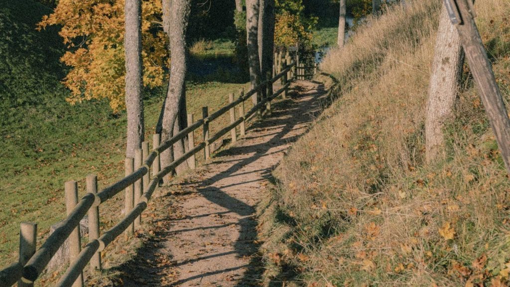 A path through a field and trees during fall.