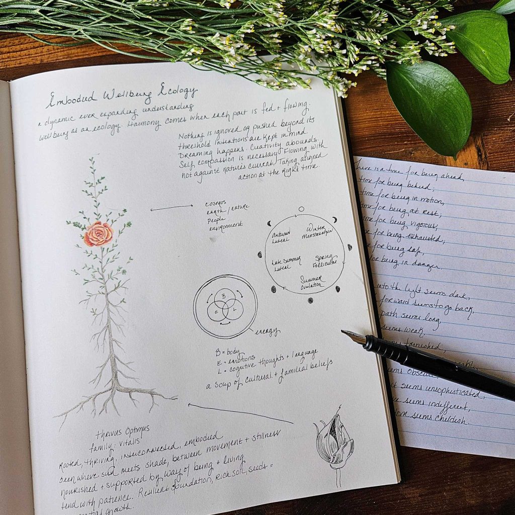 Hand-drawn journal on embodied wellbeing.